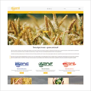 Site de prezentare Terra Agro Invest         